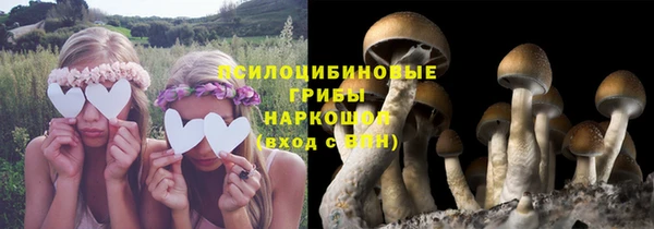 не бодяженный Вяземский