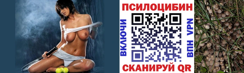 где купить   Рубцовск  Псилоцибиновые грибы мухоморы 